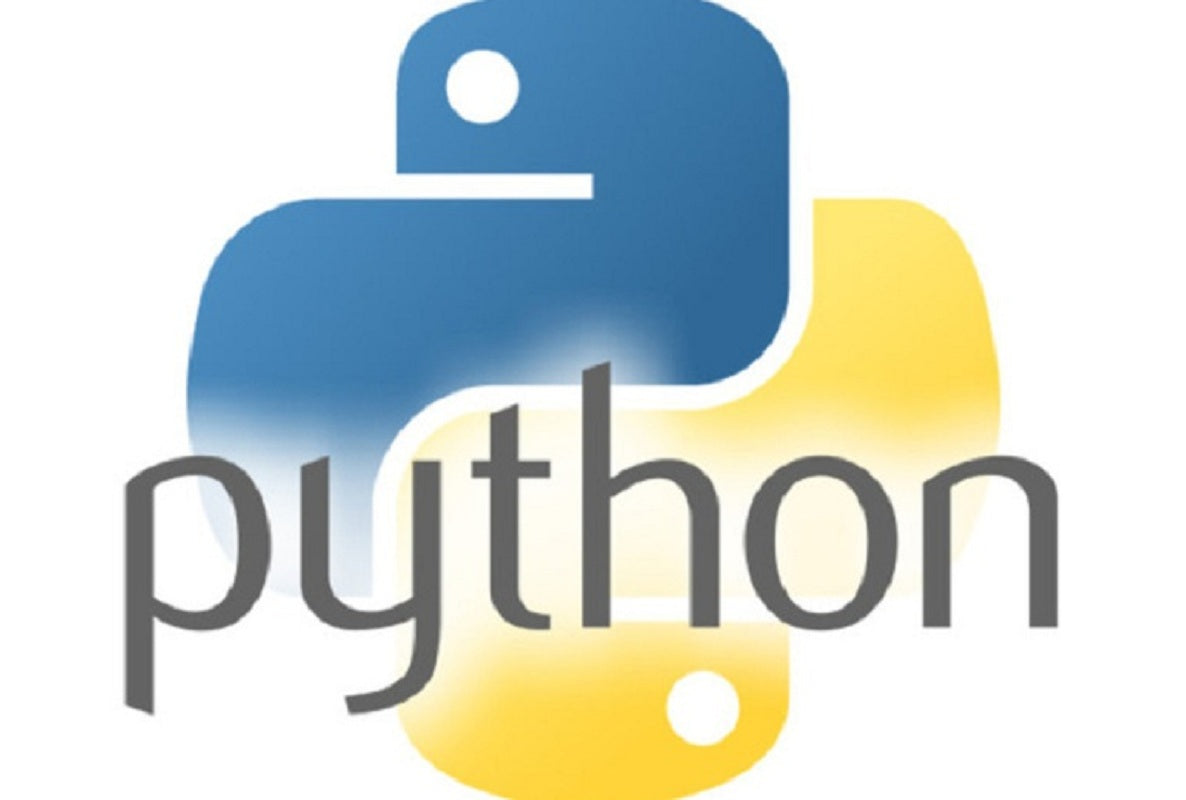 1:1 Kids Online Python Camp