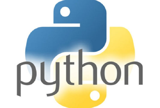 1:1 Kids Online Python Camp