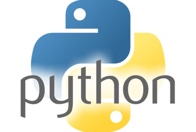 Begin Python Coding - 1:1 – Young Gates - Kids Personalized Stem Classes